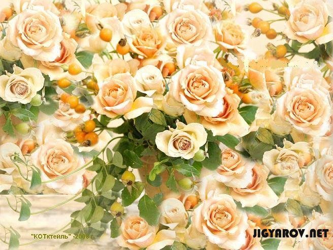 http://www.jigyarov.net/uploads/posts/2008-12/1228429618_26.jpg